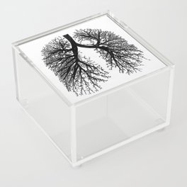 Grow #3 Acrylic Box
