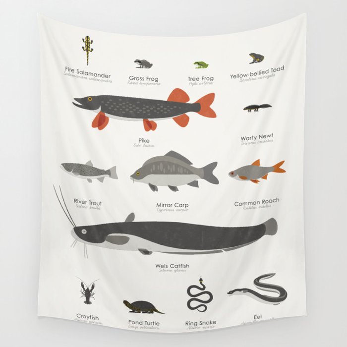 Water Animals and Fish Chart Guide Wall Tapestry