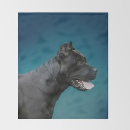 Mastiff Throw Blankets For Any Room Or Decor Style Society6