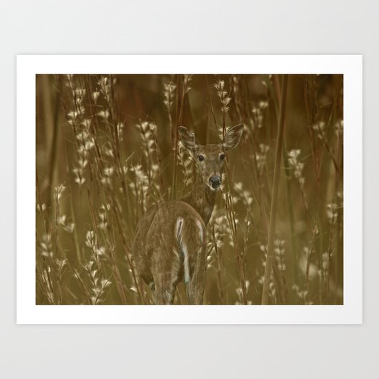 Hidden Art Print