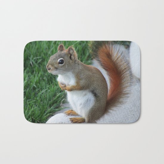 Red Squirrel Bath Mat