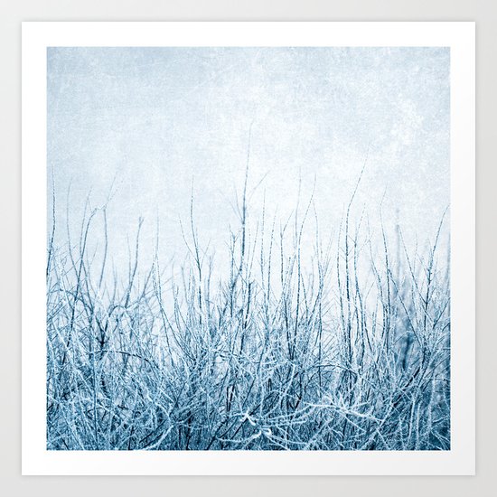 winter II Art Print