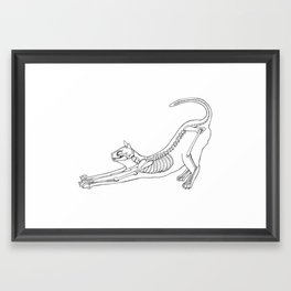 Cat Anatomy Framed Art Print | Scienceart, Meow, Veterinarian, Catyoga, Kittycat, Skull, Cats, Kitty, Anatomyart, Skeleton 