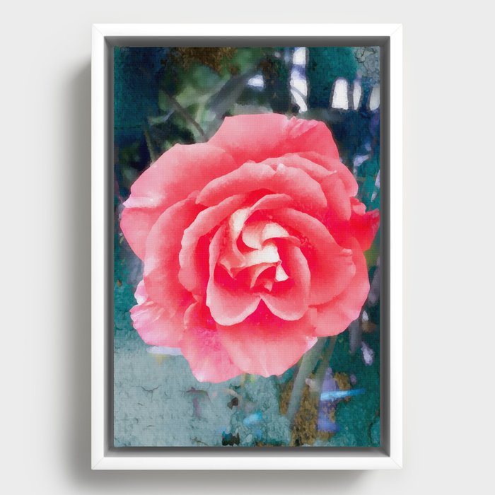 Emerald pink rose Framed Canvas