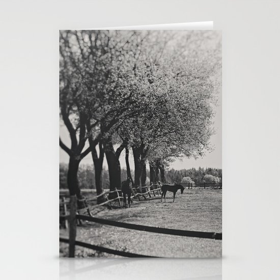 Horses Stationery Cards