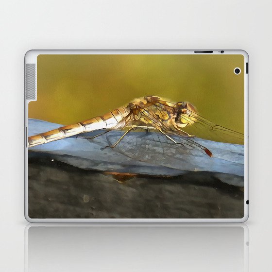 Resting Dragonfly Laptop & iPad Skin