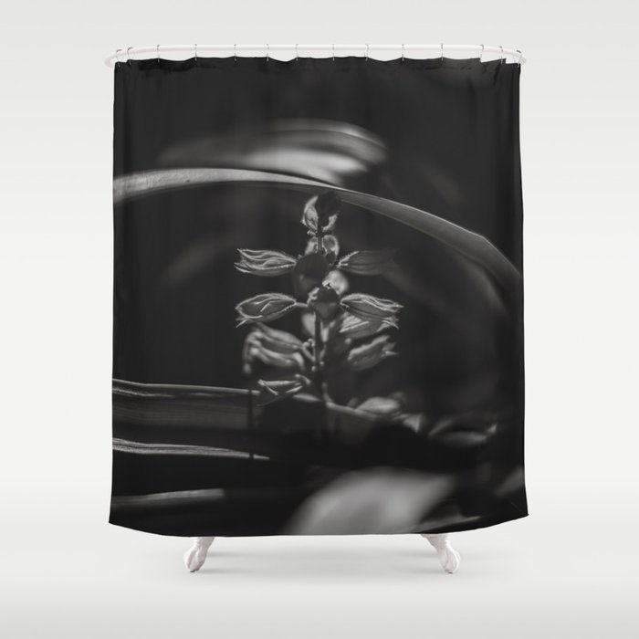 Salvia - Black and White Shower Curtain