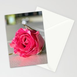 Little Rose Stationery Cards