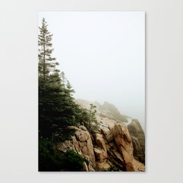 Maine Coast in Fog Canvas Print