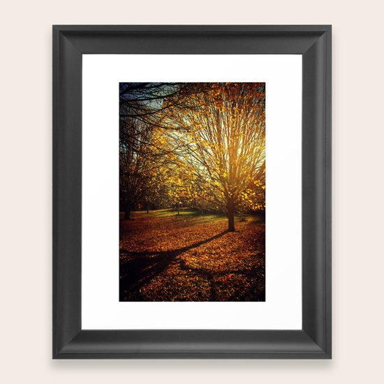 Autumn Gold Framed Art Print