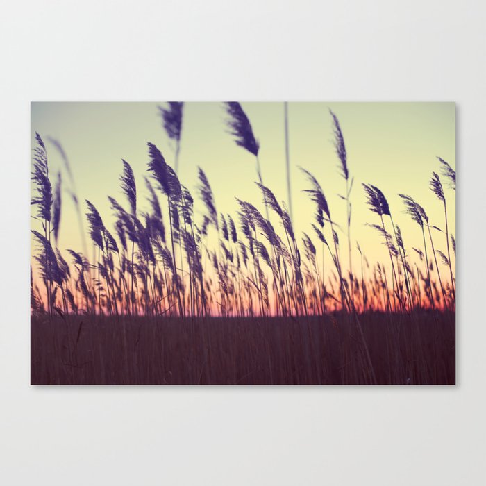 New Jersey Sunset Canvas Print