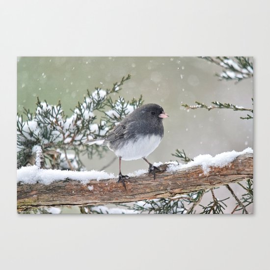 A Small Bird's Strength Canvas Print