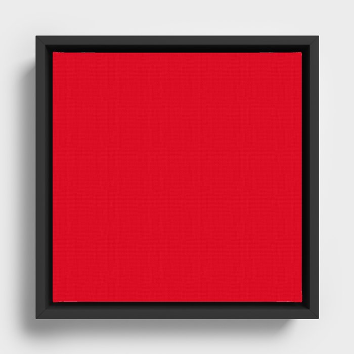 Framed Canvas