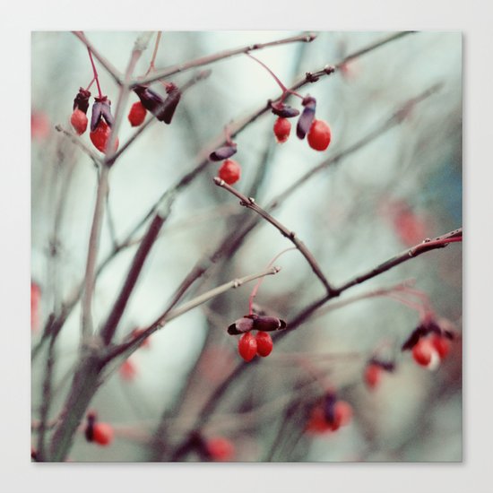 December Dream Canvas Print