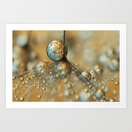 Golden Dandy Shower Art Print