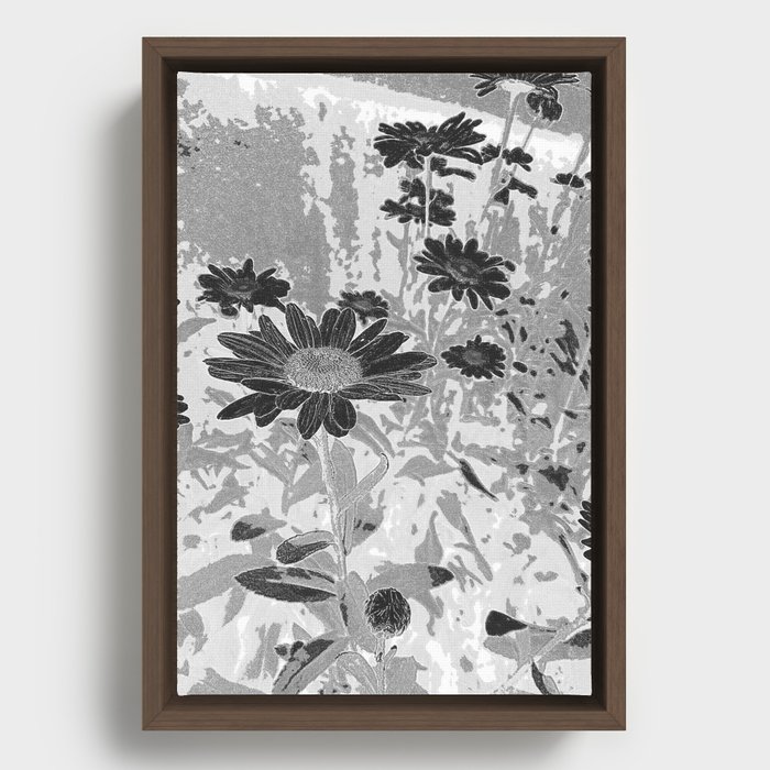 Black & White Daisies Framed Canvas