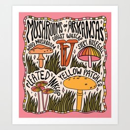 Mushrooms of Arkansas Art Print