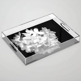 Hydrangea "SnowBall" In Black And White Acrylic Tray