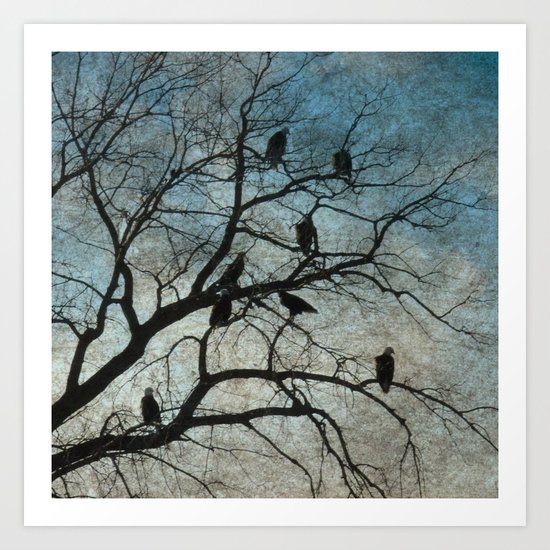 American Bald Eagles Roost Silhouette Art Print