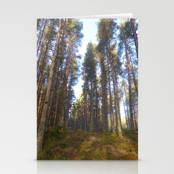 Inclined Scottish Pine Forest in Afterglow Stationery Cards