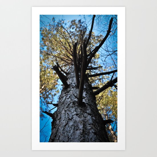 Look Up Art Print