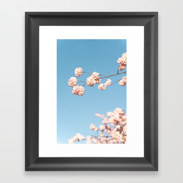 Sakura Season Framed Art Print