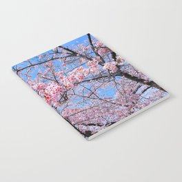 Sakura Flowers |  Cherry Blossom | Japanese | Floral | Bloom | Seasonal | Travel Photography Painting Notebook
