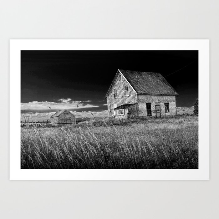 Abandoned buildings along the coast on Prince Edward Island in Black and White Art Print