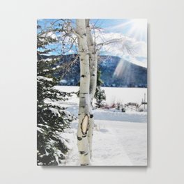 White Birch Tree in Snow Metal Print