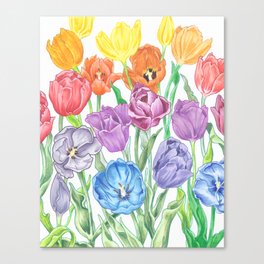 Rainbow Tulips Canvas Print