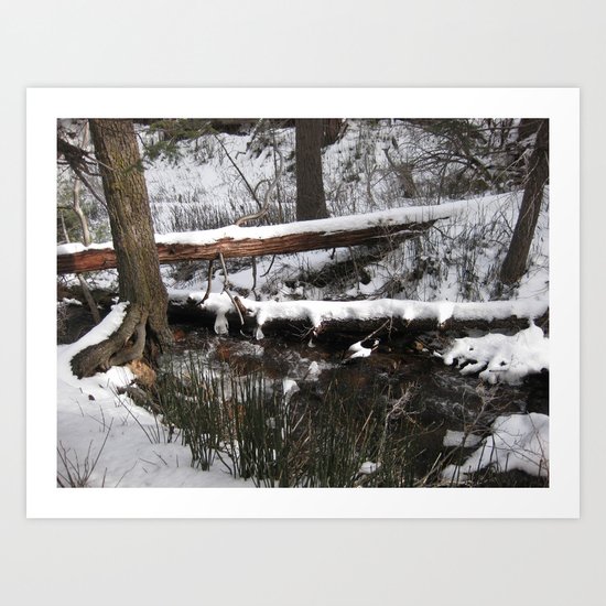 Winter's Light Art Print