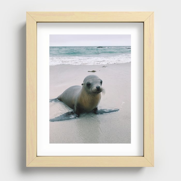 Seal with a Kiss Recessed Framed Print