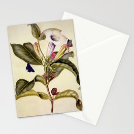  Sacred datura and blue butterfly Stationery Card