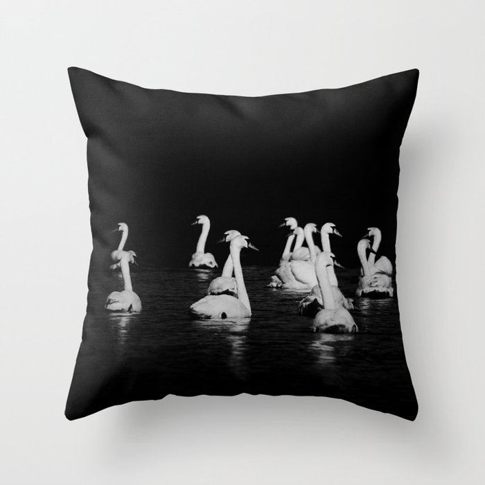 Dark Swan Lake Fine Art Nature Photography Throw Pillow