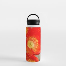 Red Poppy Flowers Water Bottle