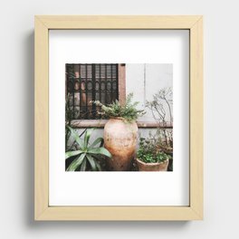 Mexico Photography - Small Garden With Plants By The Wall Recessed Framed Print