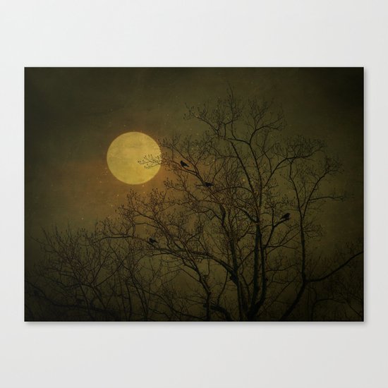 Dark Side Canvas Print