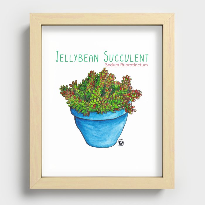 Jellybean Succulent Recessed Framed Print