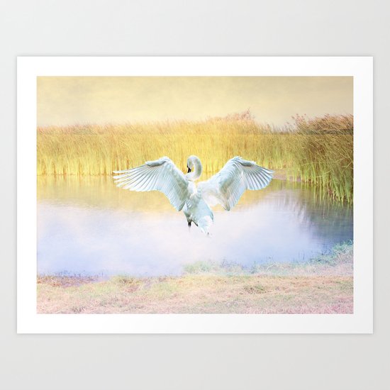 The Swan Art Print