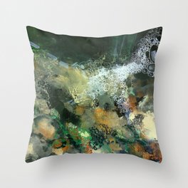 Shallows - Bubbling water shallow stream Throw Pillow