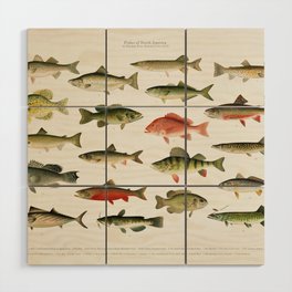 Illustrated North America Game Fish Identification Chart Wood Wall Art
