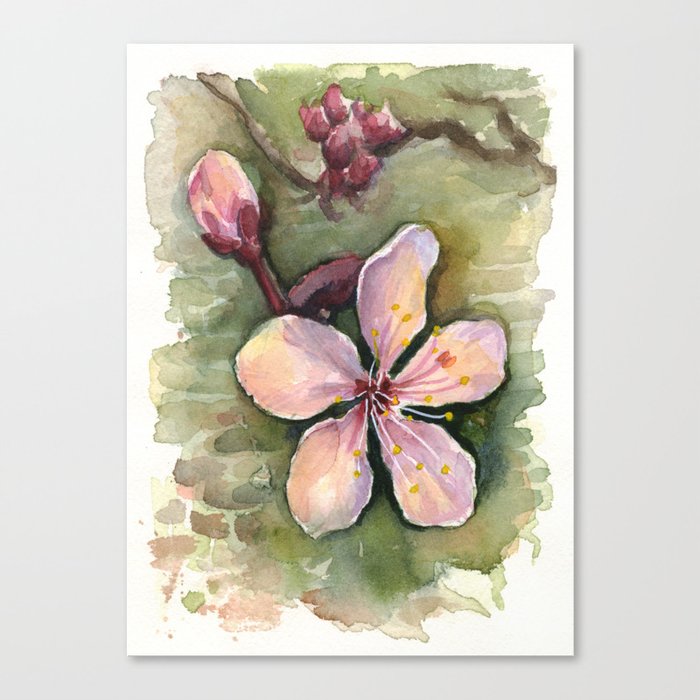 Cherry Blossom Watercolor Flowers Canvas Print By Olechka Society6