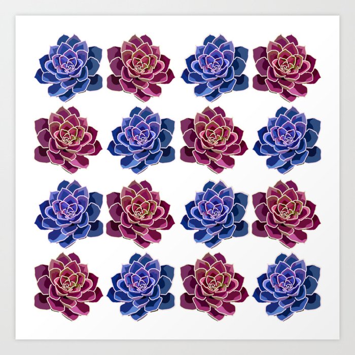 Succulents Pattern (Blue & Pink) Art Print