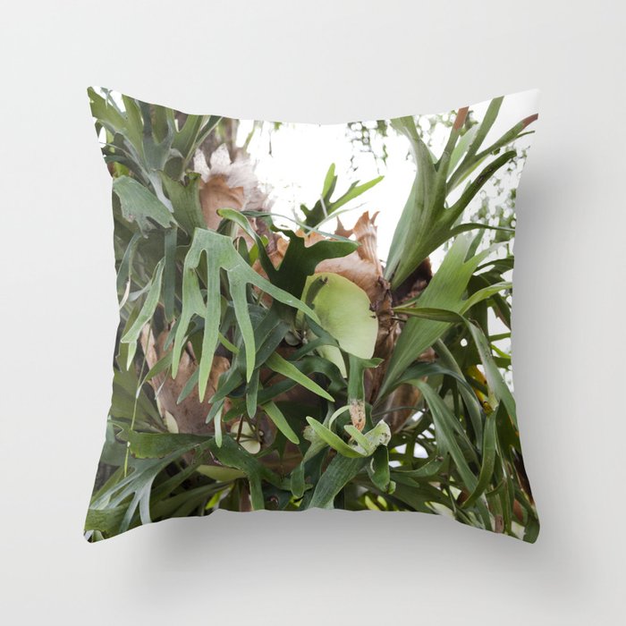 Staghorn Fern Obsessed Throw Pillow