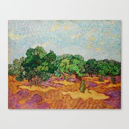 Vincent Van Gogh - Olive Trees Canvas Print