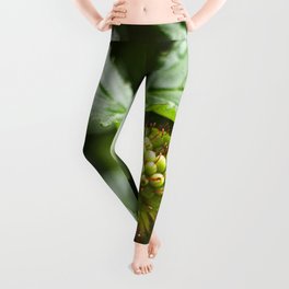 Young Salmonberry Photography Print Leggings