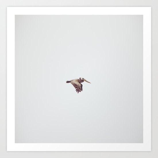 Solo Flight Art Print
