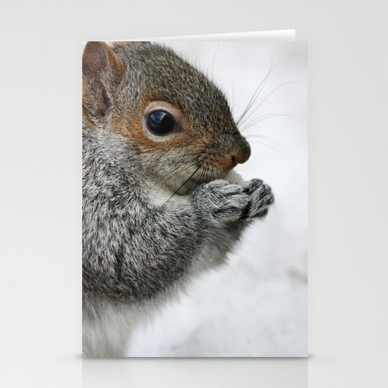 Snow Squirrel Stationery Cards