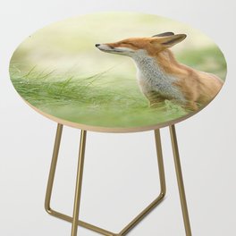 fox in forest Side Table