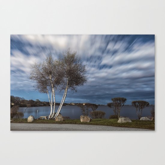 Birch tree by the pond Canvas Print